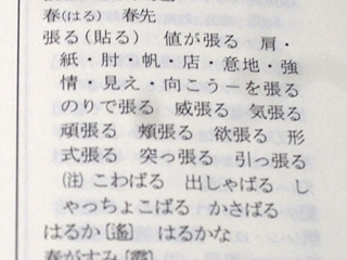 に初値下げ！ 新訂 標準用字用例辞典 | academiadevendasmb.com.br